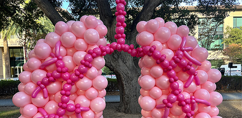 12 foot tall Balloon Lungs Sculpture.